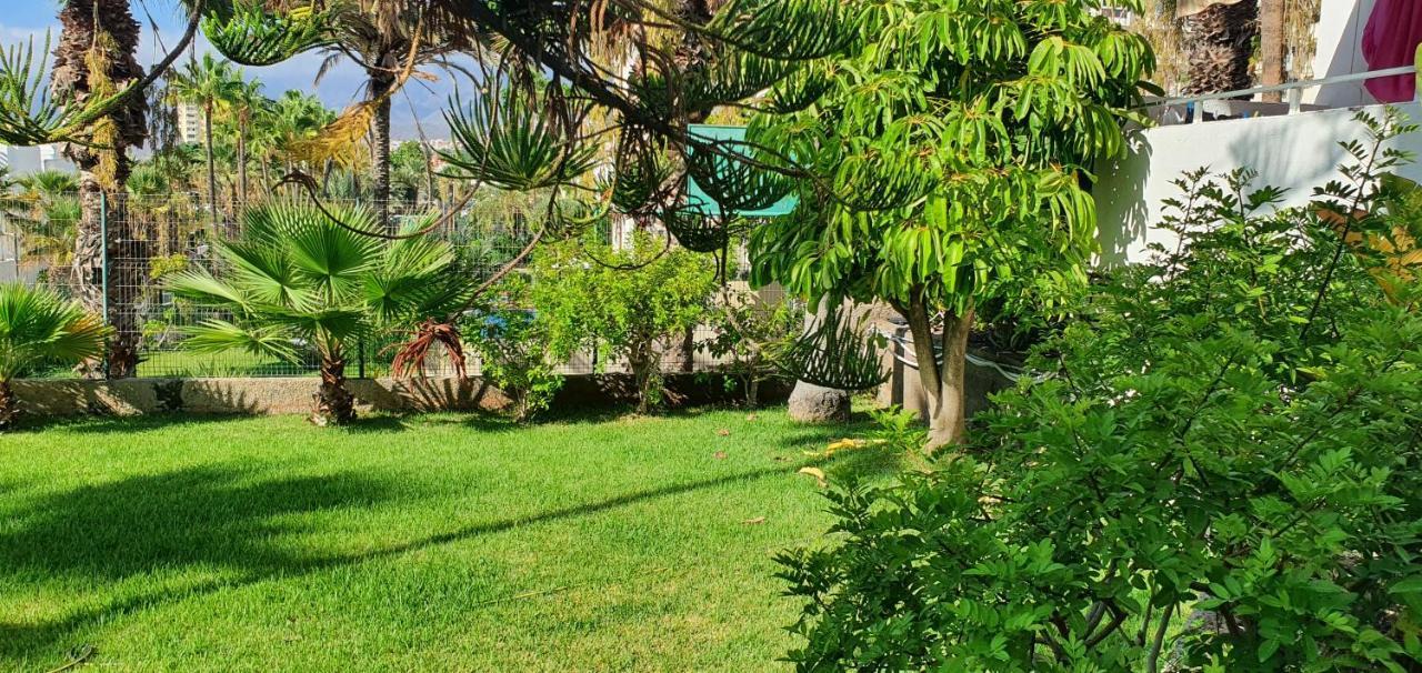 Adults Only Sunny Quiet Apartment In Center Of Las Americas Arona  Extérieur photo
