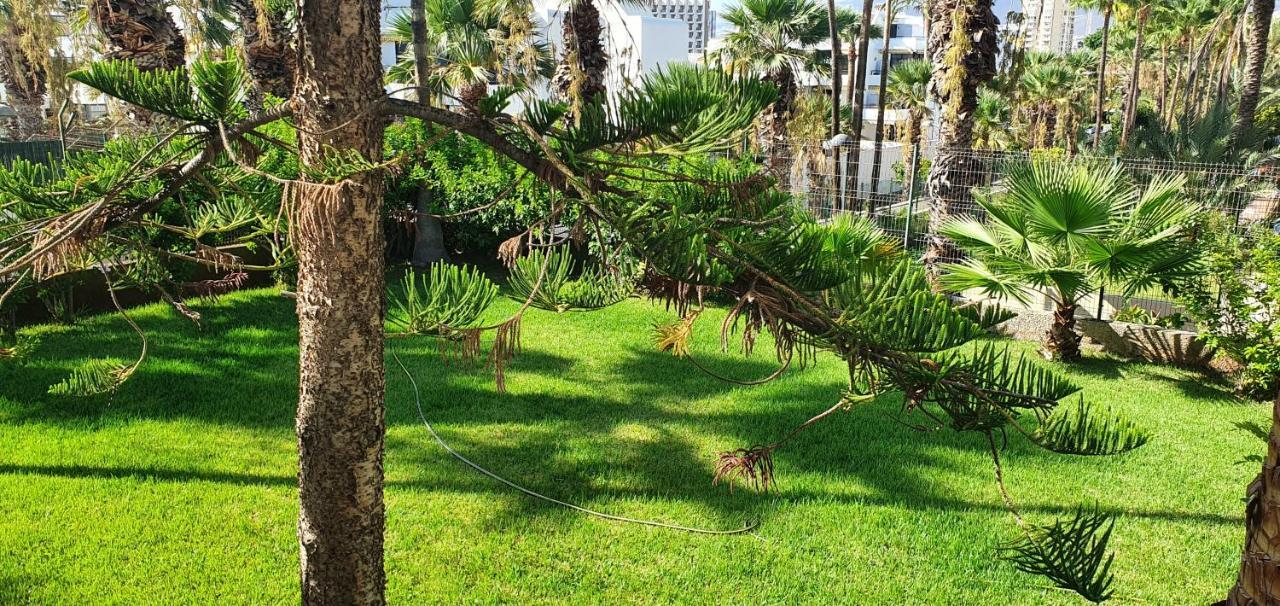Adults Only Sunny Quiet Apartment In Center Of Las Americas Arona  Extérieur photo