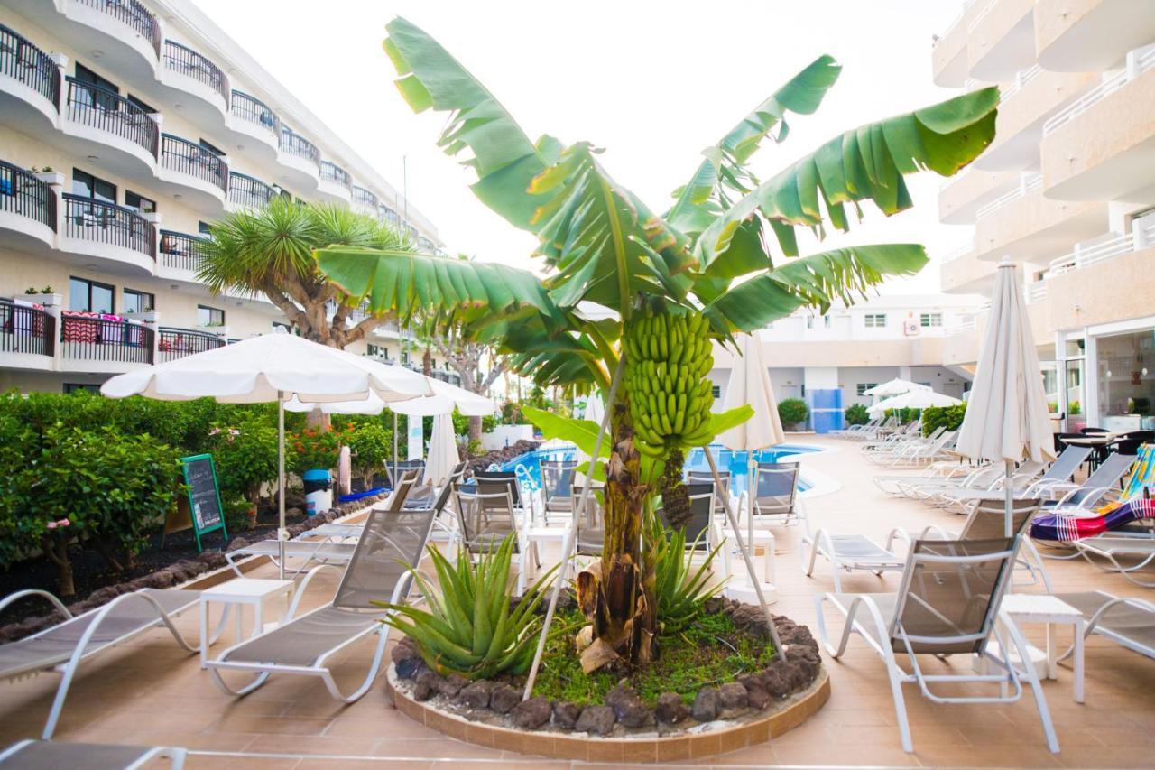 Adults Only Sunny Quiet Apartment In Center Of Las Americas Arona  Extérieur photo